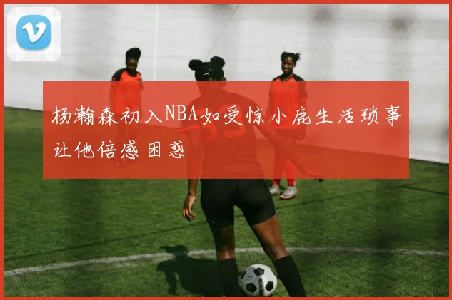 杨瀚森初入NBA如受惊小鹿生活琐事让他倍感困惑
