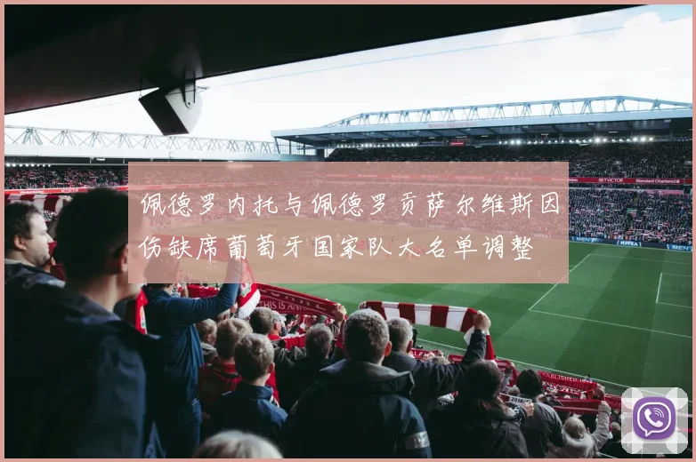 佩德罗内托与佩德罗贡萨尔维斯因伤缺席葡萄牙国家队大名单调整