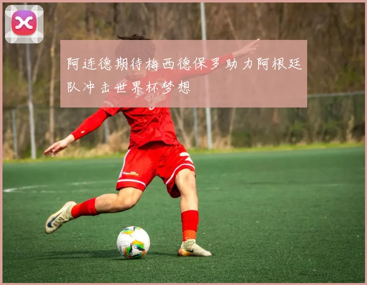 阿连德期待梅西德保罗助力阿根廷队冲击世界杯梦想